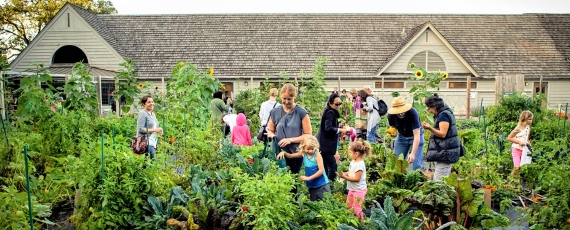 People in the learning center garden