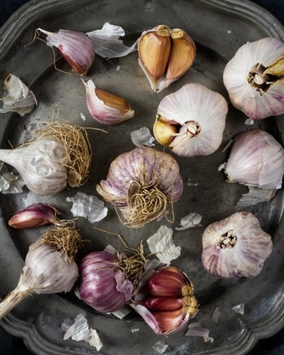 plate of garlic bulbs