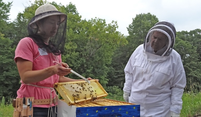 Honey harvest with Ping
