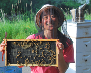 Beekeeper showing a frame of honey bees