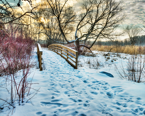Winter walk at the Arb, photo by Don Olson, Arboretum Photographer's Society