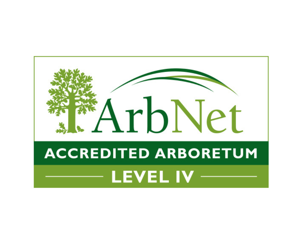 ArbNet logo