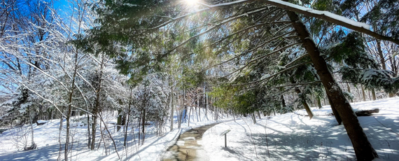Winter walkway with sun