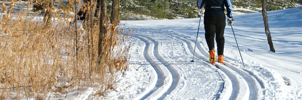 Cross country skiier on trails
