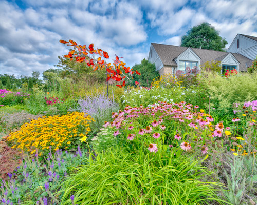 Garden Landscape, photo by Don Olson, APS