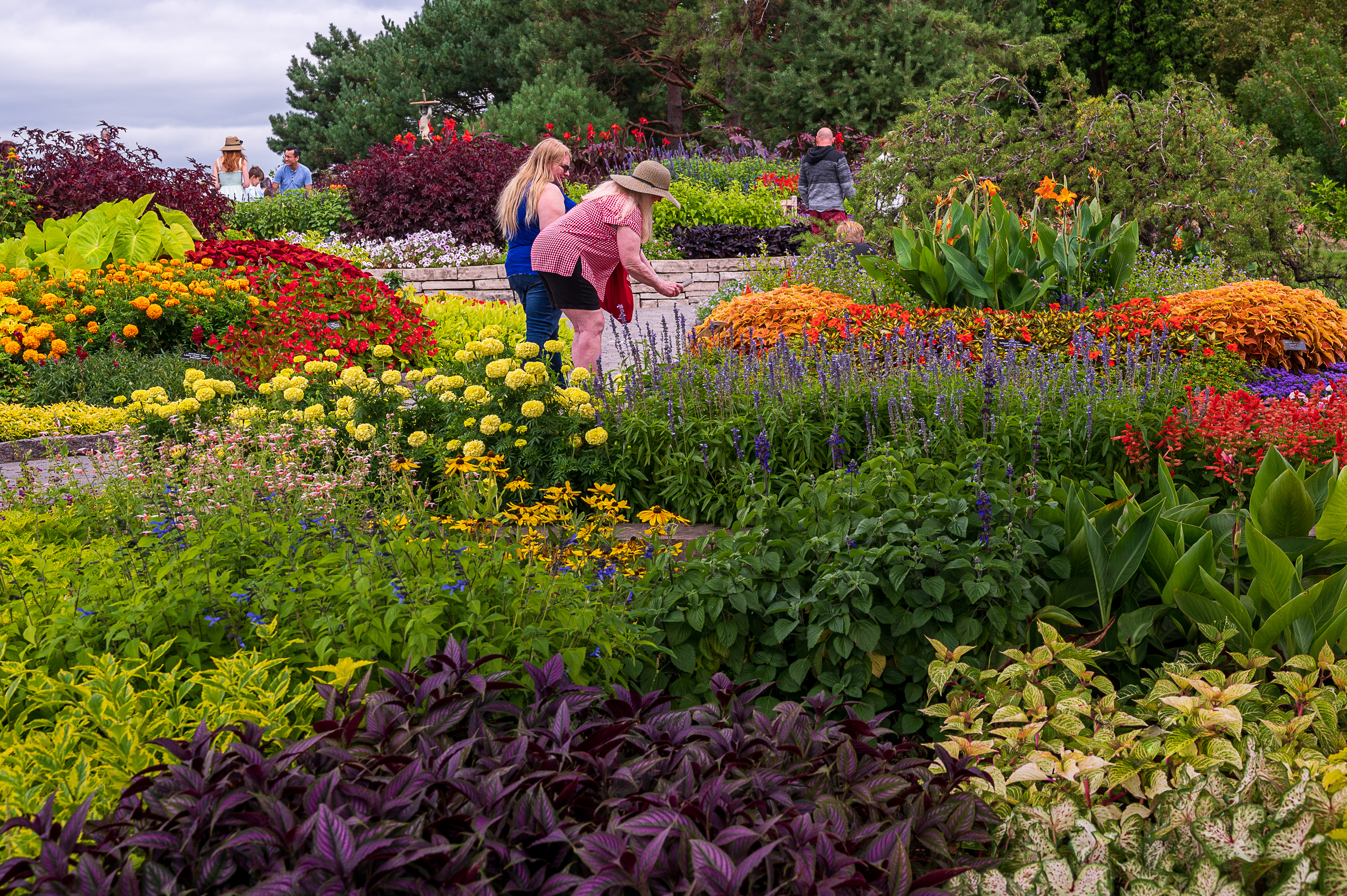 2 women looking at flowers in the annual garden