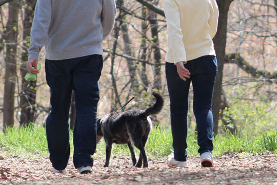 People walking their dog on dog commons trail