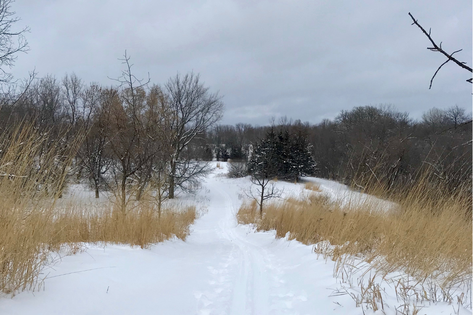 Lost pond trail in winter
