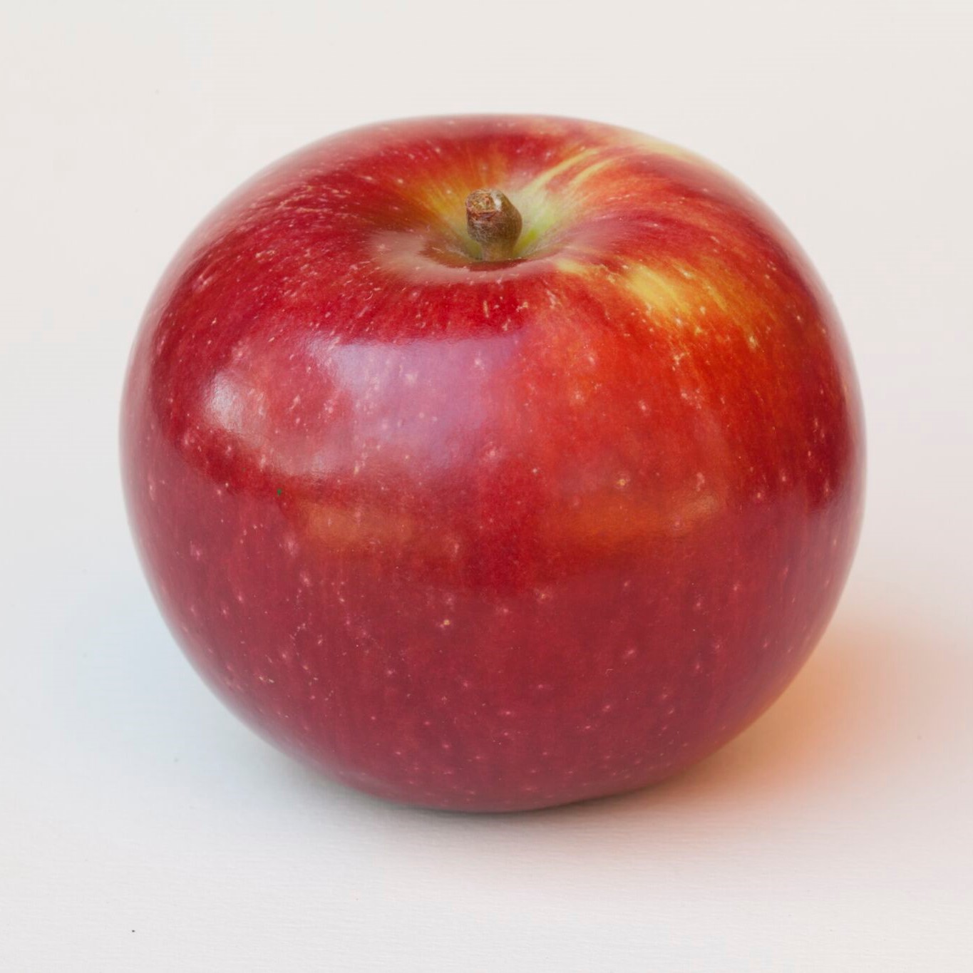 Regent apple