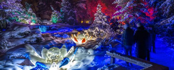 People at winter lights with water lily display and fresh snow
