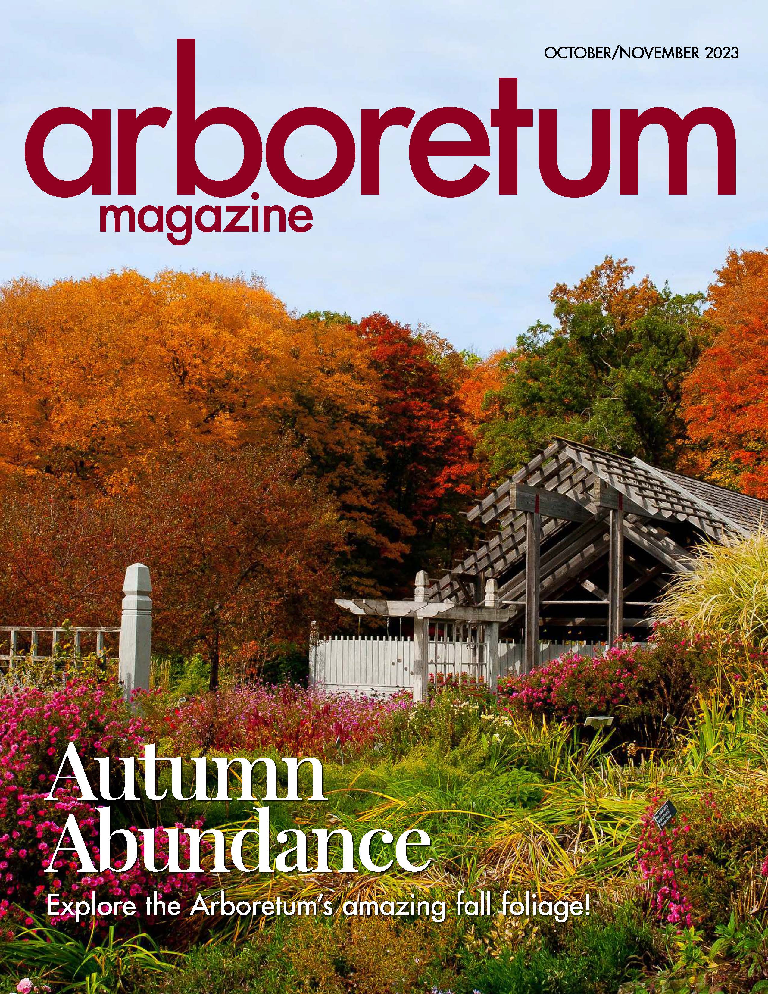 Cover of the Oct Nov magazine