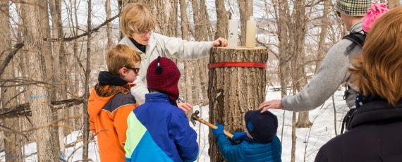 Kids tapping a maple tree