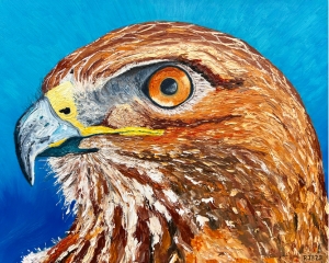 Hawk painting with a blue background