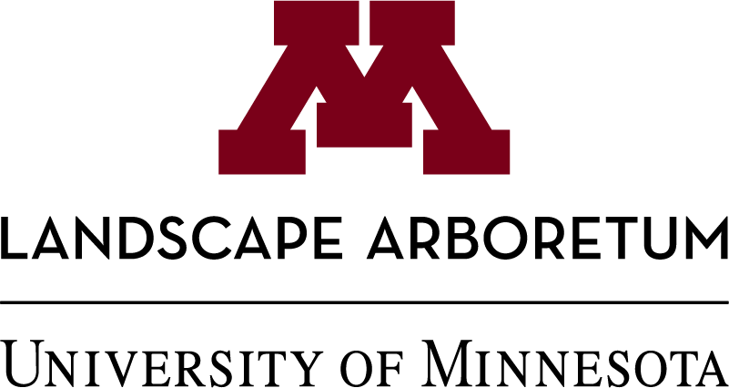 Block M stacked logo