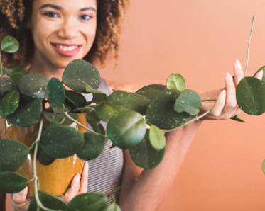 woman holding an indoor plant, photo ShannonWest/shutterstock