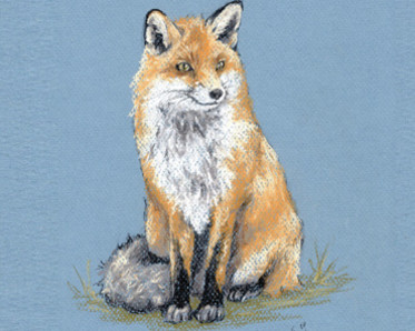 Fox drawing by Instructor Ann Solyst