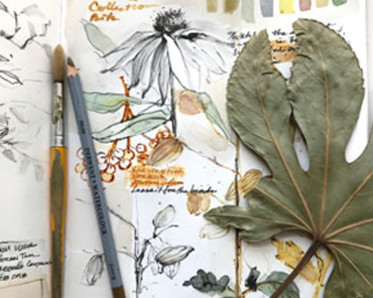 Nature sketchbook and supplies by Instructor Pam Luer