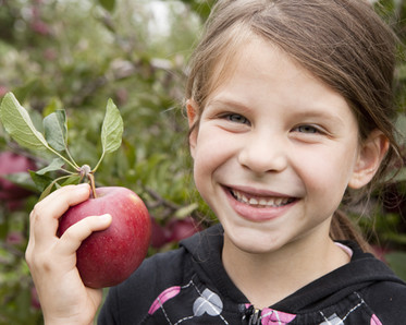 Student with an apple on an Arb Field Trip, photo IgorKisselev/shutterstock
