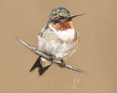 Pastel hummingbird by Instructor Ann Solyst.