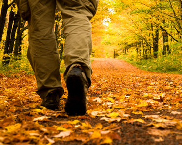 Walk in fall leaves