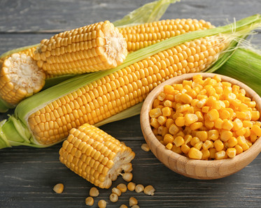 Sweet corn, photo by PixelShot/Shutterstock