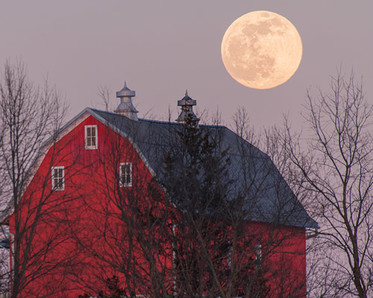 Spring full moon at the Farm at the Arb, photo by Instructor Mike Shaw