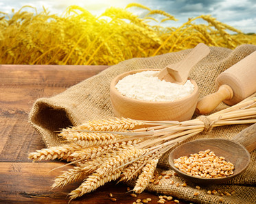 Wheat and grains for cooking, photo by symbiot/Shutterstock