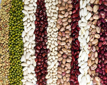bean varieties, photo by dingdang-99/pixabay