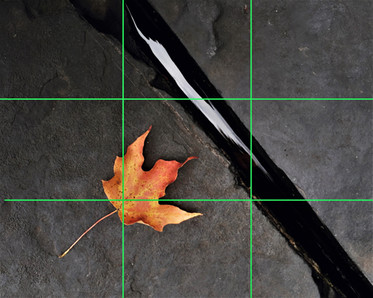 Composition of a photograph, Photo by Instructor Eric Mueller
