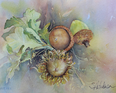 Oak watercolor by Instructor Sonja Hutchinson