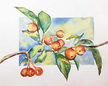 Crabapple watercolor by Instructor Sonja Hutchinson