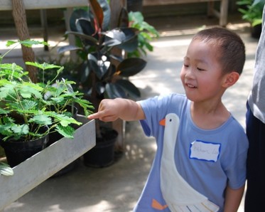 Child in greenhouse pointing at plants in greenhouse