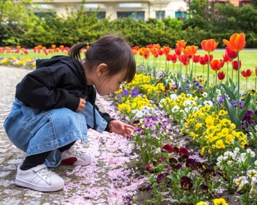 Little girl smelling flowers in the garden