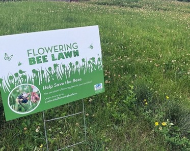 Yard sign on flowering bee lawn
