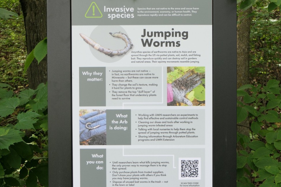 Jumping worms sign