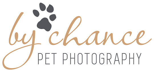 By Chance Pet Photos