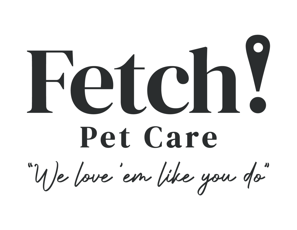 Fetch pet care