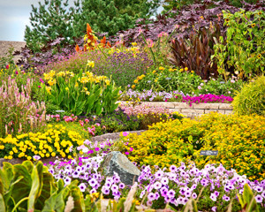 beautiful annual garden at the Minnesota Landscape Arboretum