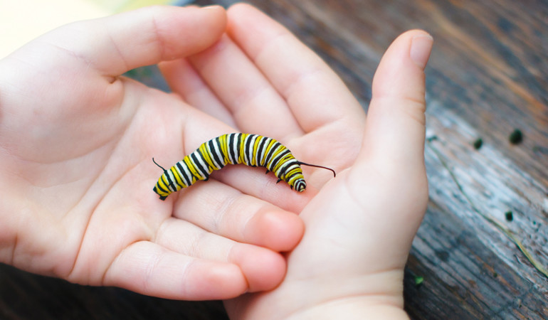 child holding caterpillar, photo by SMBeagle/shutterstock