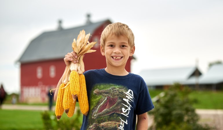 Boy holding corn near red barn.