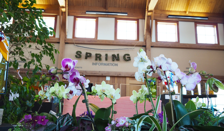 Orchids in front of the spring sign in Oswald Visitor Center