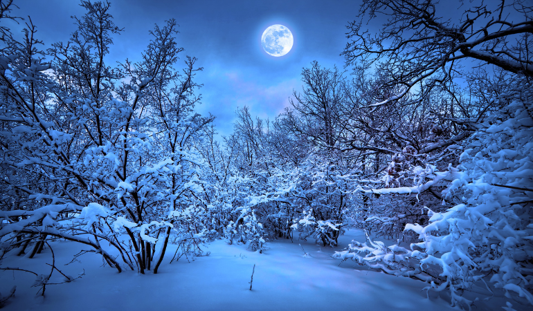 Full moon and snowy trees with blue filter