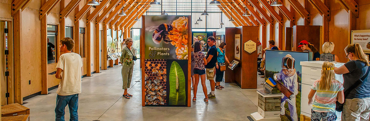 People exploring the inside of the Bee Center