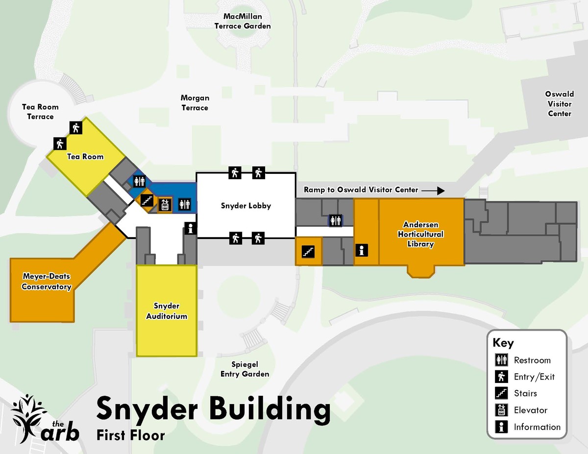 Colored map of the first floor of the Snyder Building