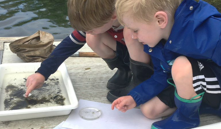 Kids looking at bugs on a dock