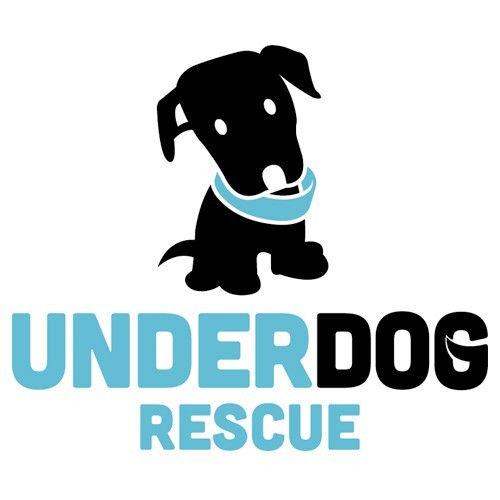 Underdog Rescue MN