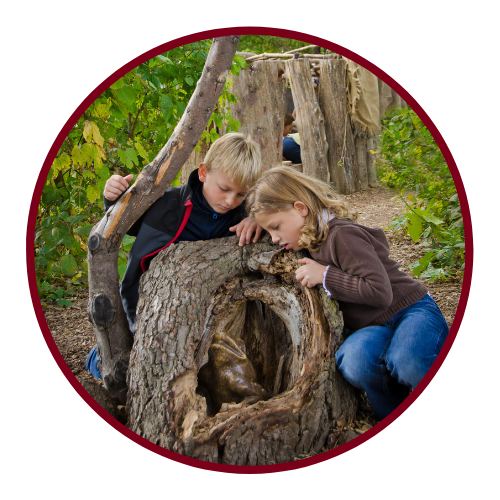 2 kids looking inside of a wooden stump