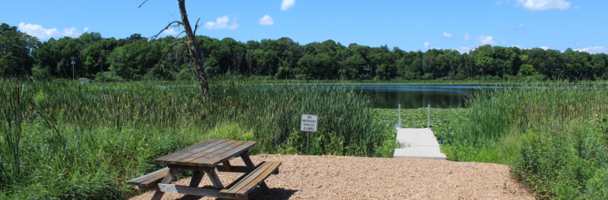 Lake tamarack with picnic table