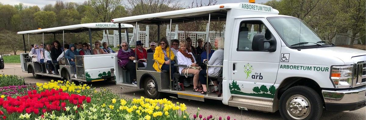 Tram parked in front of the visitor center with tulips