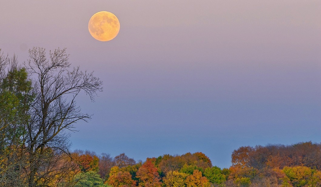 Harvest moon by Don Olson
